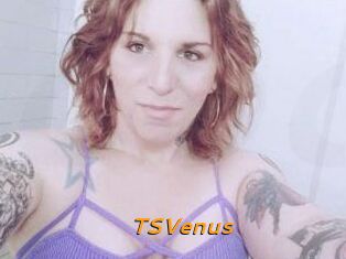 TS_Venus