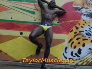 TaylorMusclehard