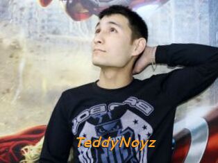TeddyNoyz