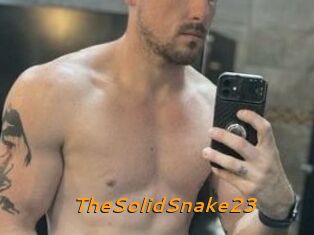 TheSolidSnake23