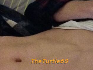 TheTurtle69