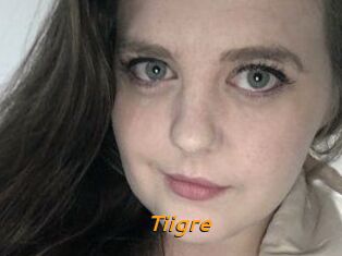 Tiigre_
