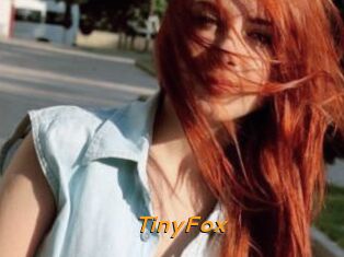 TinyFox