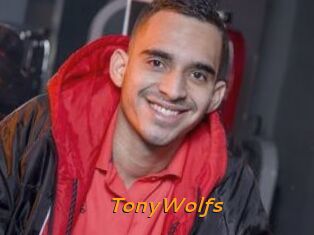 TonyWolfs