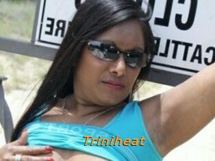 Triniheat