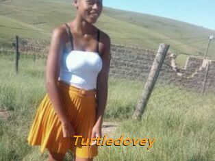 Turtledovey