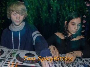 Two_SpicyKitties