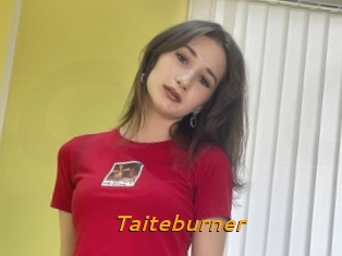 Taiteburner
