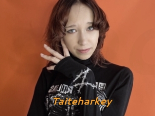 Taiteharkey