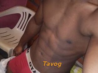Tavog
