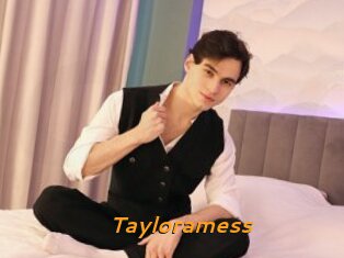 Tayloramess