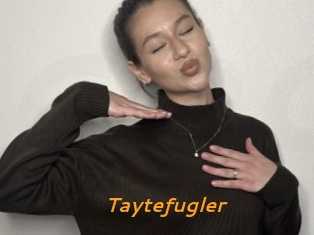 Taytefugler