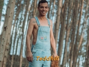 Teddhill