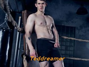 Teddreamer