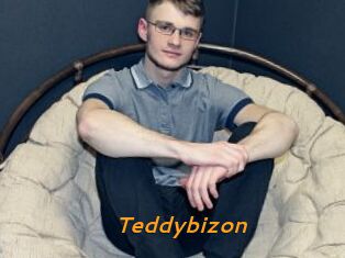Teddybizon