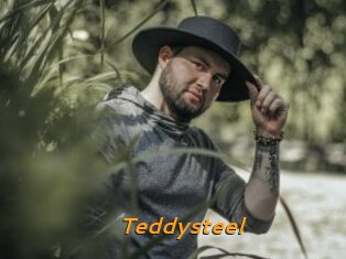 Teddysteel