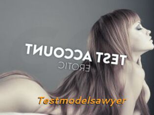 Testmodelsawyer