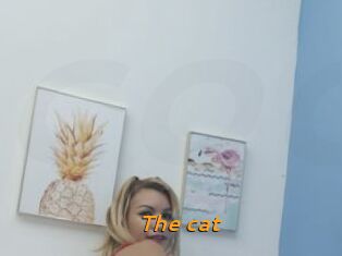 The_cat