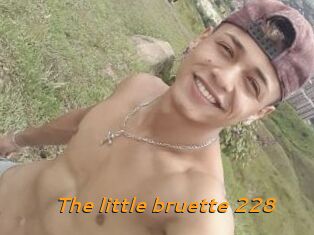 The_little_bruette_228