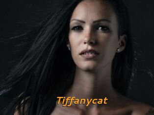 Tiffanycat