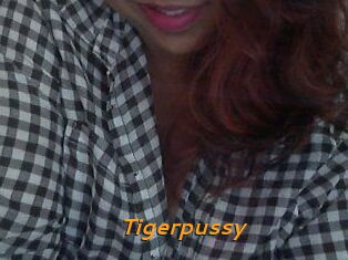 Tigerpussy