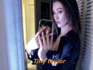 Tiny_taylor