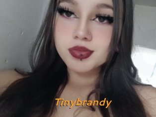 Tinybrandy