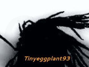 Tinyeggplant93