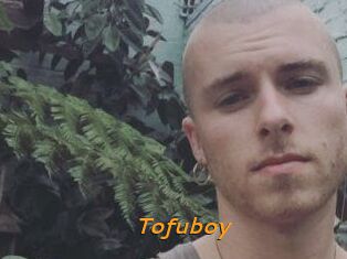 Tofu_boy
