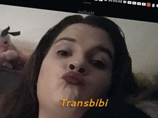 Transbibi