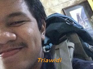 Triawidi