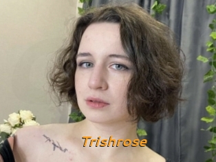 Trishrose