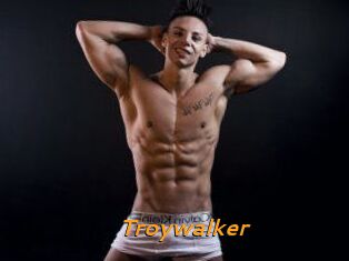 Troywalker