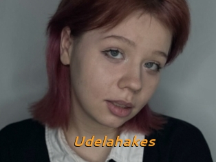 Udelahakes