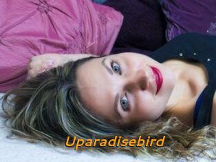 Uparadisebird