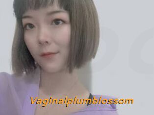 Vaginalplumblossom