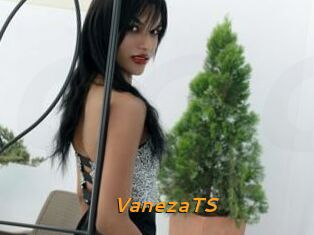 VanezaTS