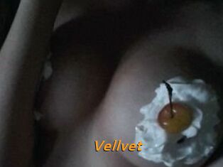 Vellvet