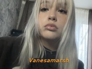 Vanesamarsh