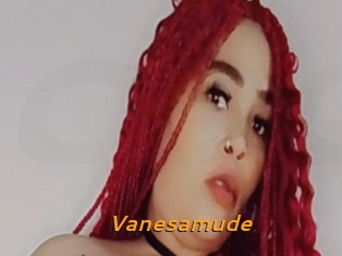 Vanesamude
