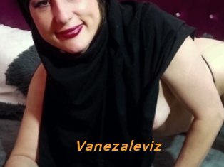 Vanezaleviz