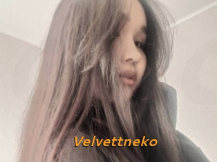 Velvettneko