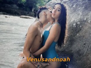 Venusandnoah