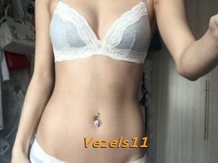 Vezels11