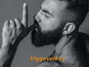 Viggovolkov