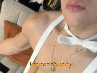 Vincentbunny
