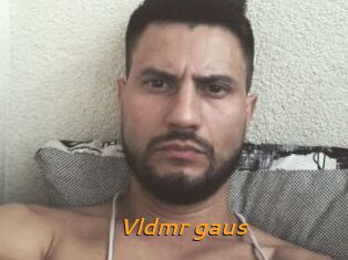 Vldmr_gaus