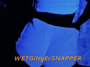 WETGiNgErSNAPPER