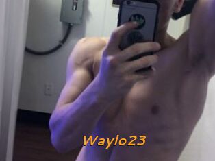 Waylo23
