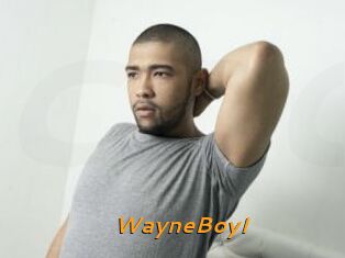WayneBoyI